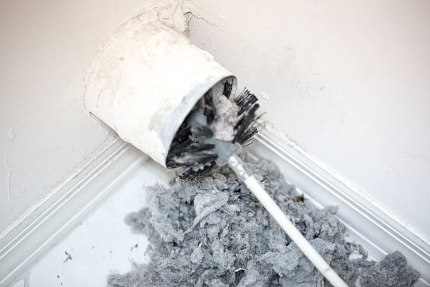 Best HVAC System Cleaning  in Springfield, GA